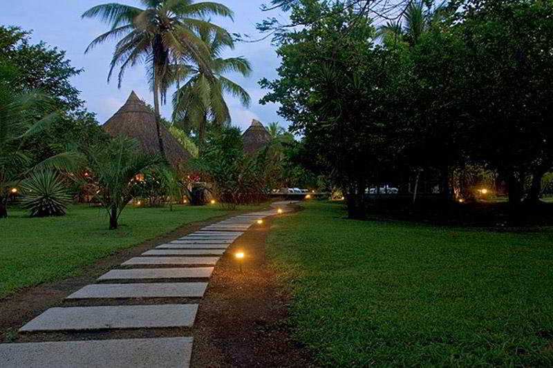 Turtle Beach Lodge Tortuguero Zewnętrze zdjęcie