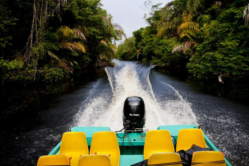 Turtle Beach Lodge Tortuguero Zewnętrze zdjęcie