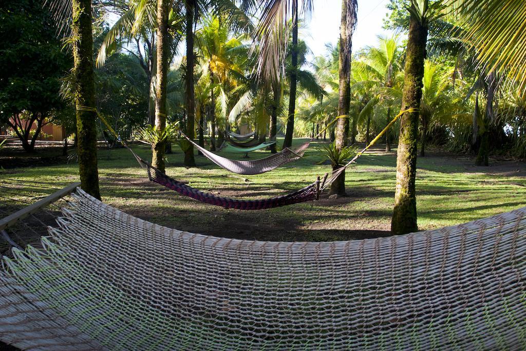 Turtle Beach Lodge Tortuguero Zewnętrze zdjęcie