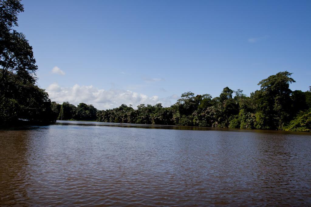 Turtle Beach Lodge Tortuguero Zewnętrze zdjęcie
