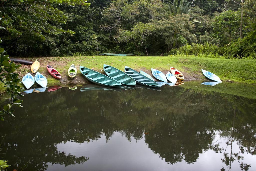 Turtle Beach Lodge Tortuguero Zewnętrze zdjęcie