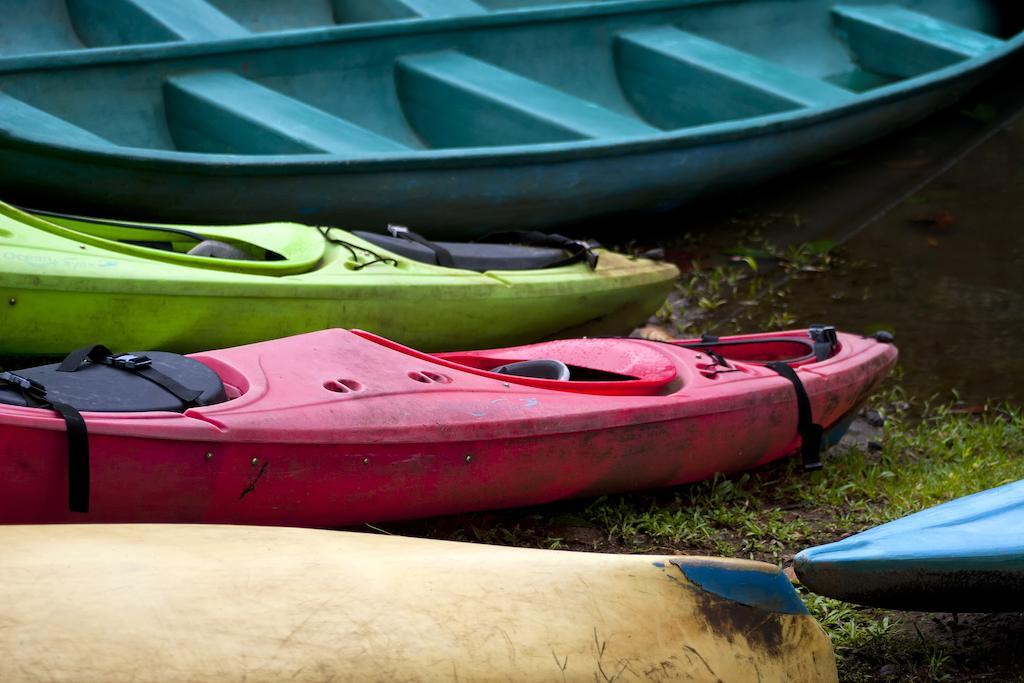 Turtle Beach Lodge Tortuguero Zewnętrze zdjęcie