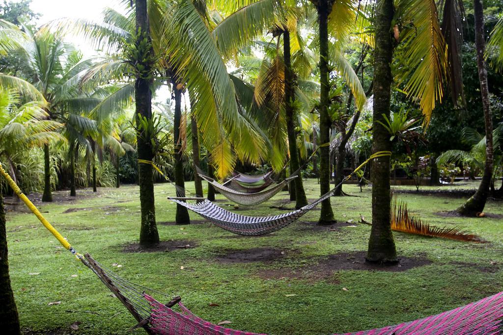 Turtle Beach Lodge Tortuguero Zewnętrze zdjęcie