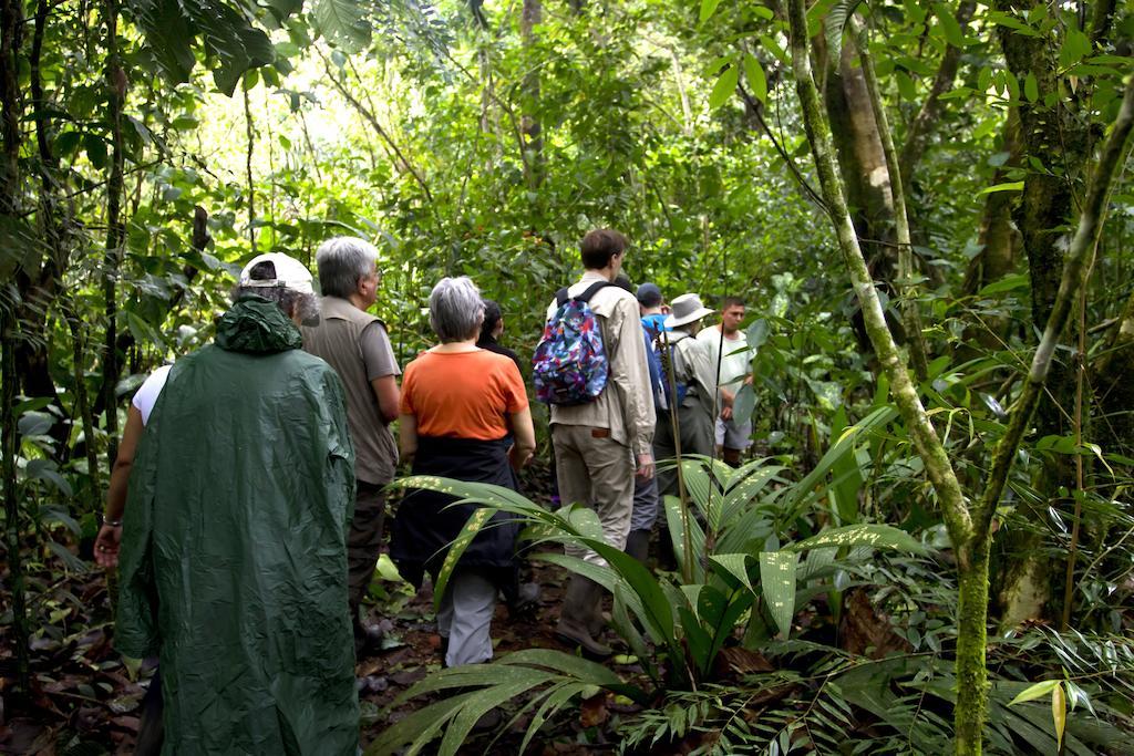 Turtle Beach Lodge Tortuguero Zewnętrze zdjęcie