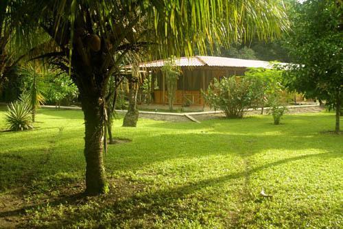 Turtle Beach Lodge Tortuguero Zewnętrze zdjęcie